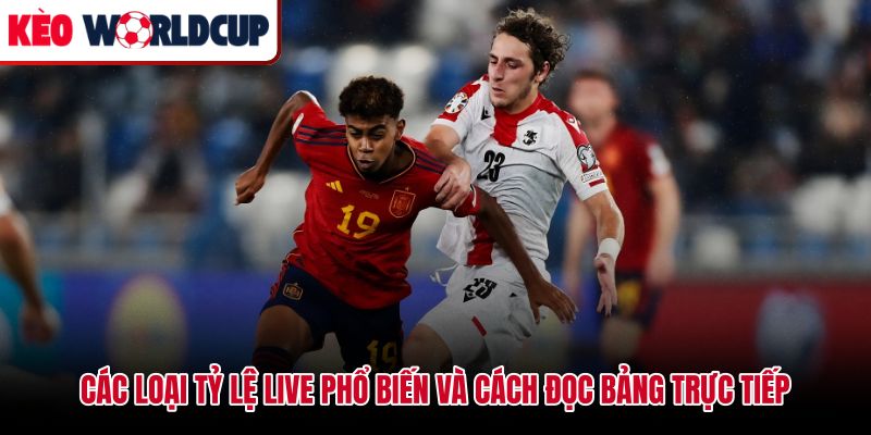 Phân loại thị trường cược live khi theo dõi kèo rung là gì