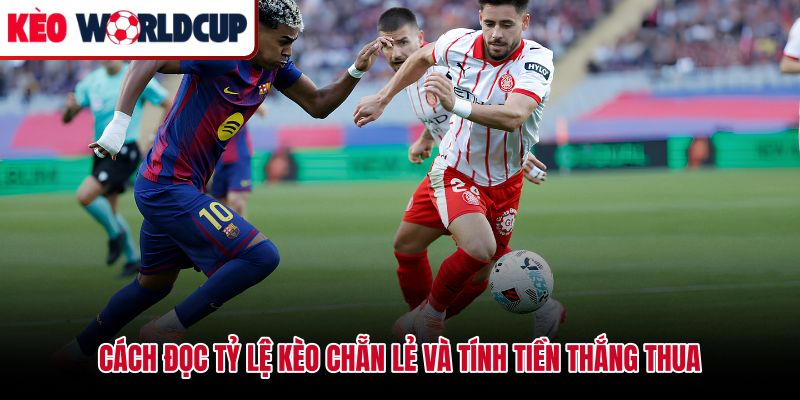 Cách đọc odds và tính tiền thắng thua kèo chẵn lẻ chính xác
