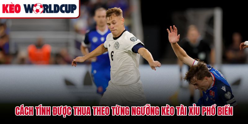 Bảng đối chiếu kèo tài xỉu là gì với từng mức ăn đủ và thua nửa