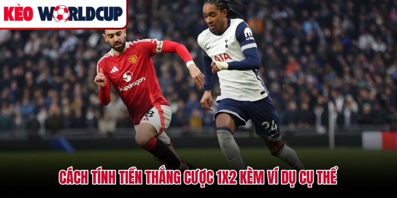 Công thức tính tiền kèo châu Âu là gì kèm ví dụ odds 2.35