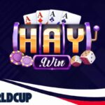 Haywin