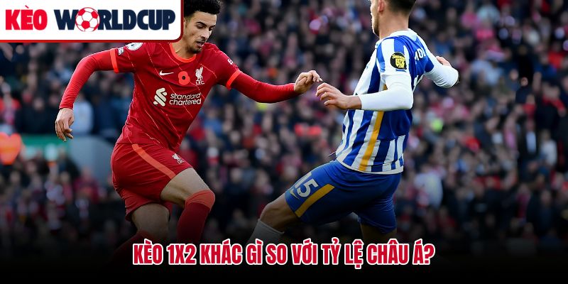 Kèo 1x2 là gì khi so với châu Á - khác biệt ở cửa hòa và chấp bàn