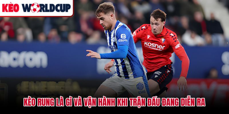 Kèo rung là gì cơ chế biến động tỷ lệ theo thời gian thực