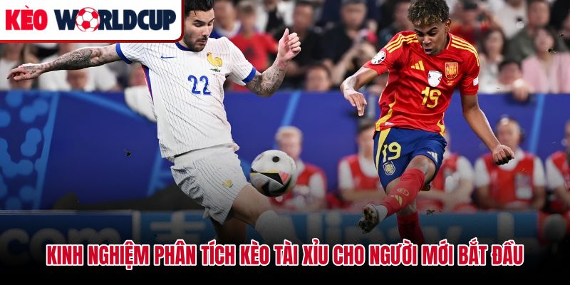 Dữ liệu phong độ ghi bàn hỗ trợ phân tích kèo tài xỉu là gì