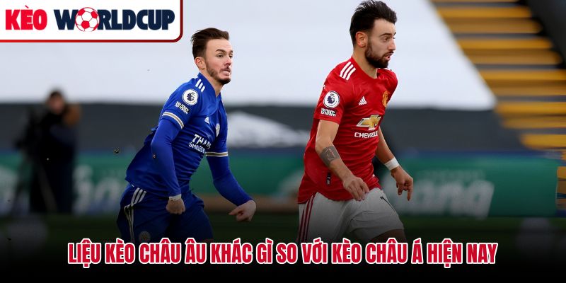 So sánh kèo châu Âu là gì với Asian handicap về số lựa chọn và tỷ lệ chấp