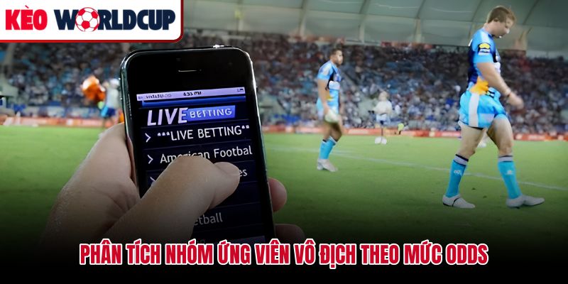 Đánh giá kèo vô địch World Cup qua phong độ và chiều sâu đội hình