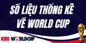 Số Liệu Thống Kê Về World Cup
